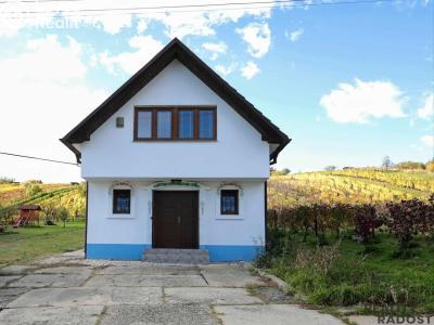 Prodej vinného sklepa Mutěnice č. 1