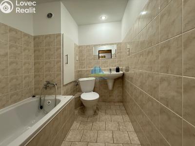 Pronájem bytu 1+KK Františkovy Lázně, Vančurova č. 3