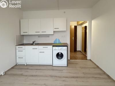 Pronájem bytu 1+KK Františkovy Lázně, Vančurova č. 6