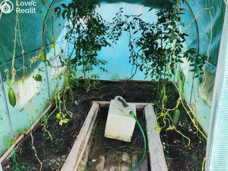 Prodej chaty Praha č. 20