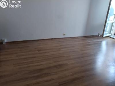 Pronájem bytu 2+1 Chomutov, Holešická č. 2