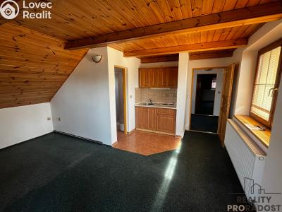 Sale apartments Podhradní Lhota č. 2