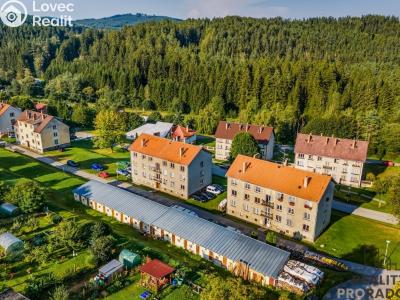 Sale apartment 4+1 Pohorská Ves č. 1