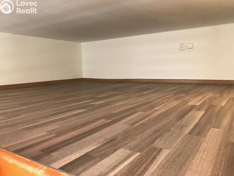 Pronájem bytu 1+KK Praha, Freyova č. 6