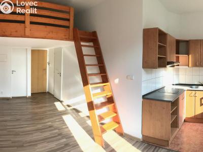 Pronájem bytu 1+KK Praha, Freyova č. 1