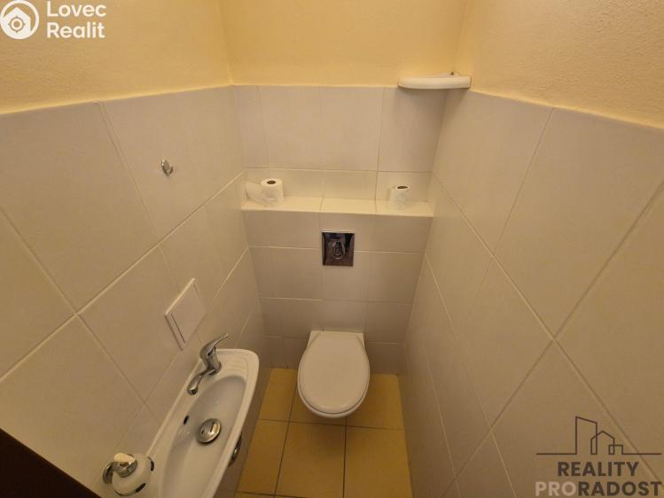 Pronájem bytu 3+KK Lednice, Nejdecká č. 13