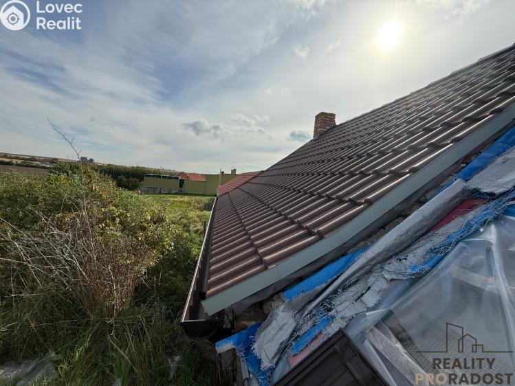 Prodej vinného sklepa Hrušky č. 9