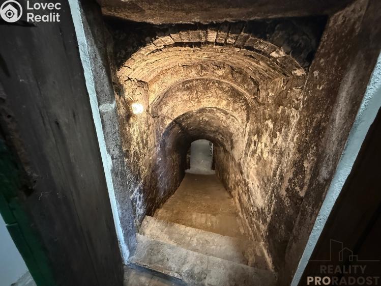 Prodej vinného sklepa Hrušky č. 18