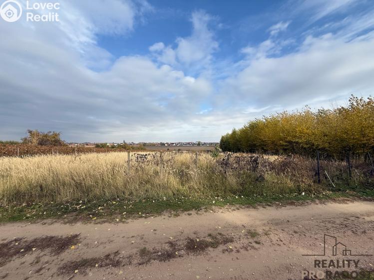 Prodej vinného sklepa Hrušky č. 25