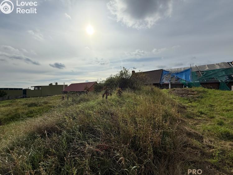 Prodej vinného sklepa Hrušky č. 7