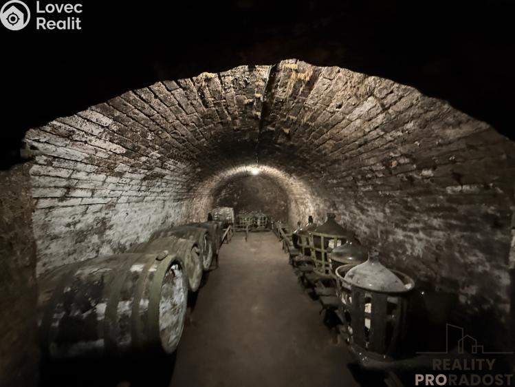 Prodej vinného sklepa Hrušky č. 19