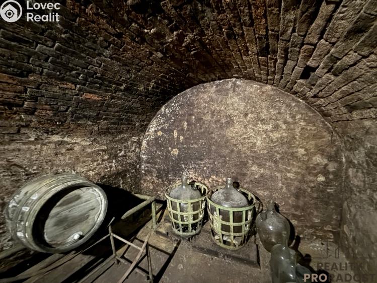 Prodej vinného sklepa Hrušky č. 20