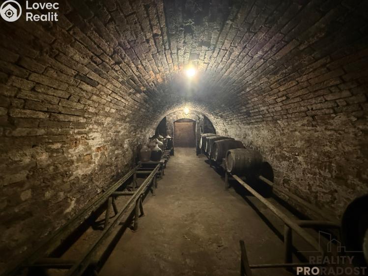 Prodej vinného sklepa Hrušky č. 21