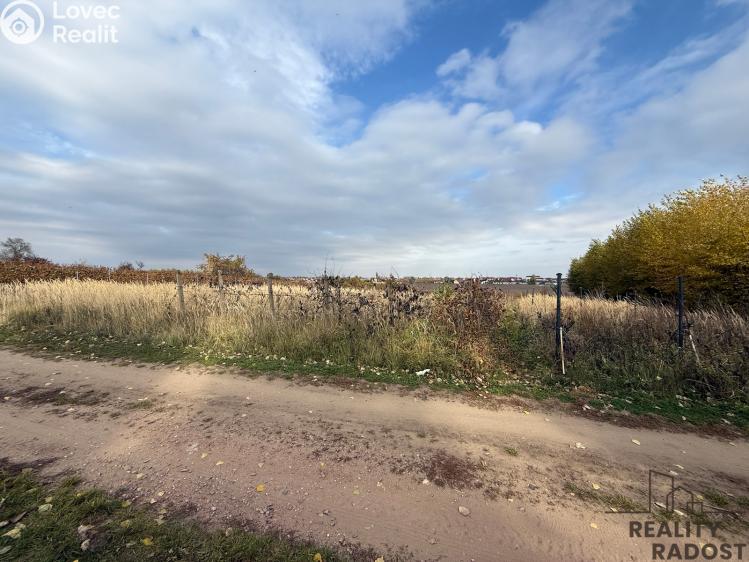 Prodej vinného sklepa Hrušky č. 24