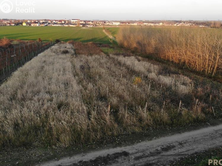 Prodej vinného sklepa Hrušky č. 26