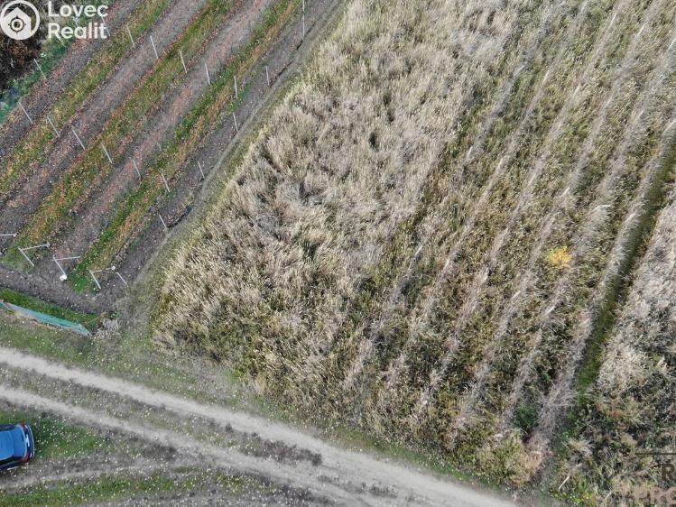 Prodej vinného sklepa Hrušky č. 27