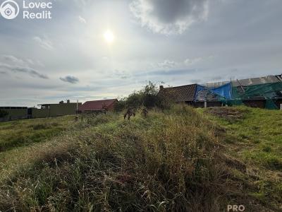 Prodej vinného sklepa Hrušky č. 7