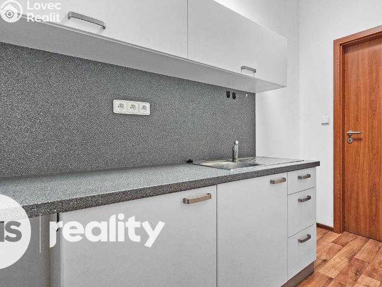 Rent apartment 2+1 Opava, Popská 222/11 č. 7