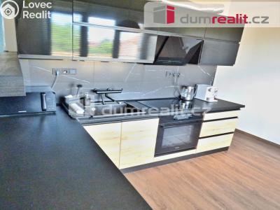 Pronájem bytu 4+1 Roudnice nad Labem, Vrchlického č. 4