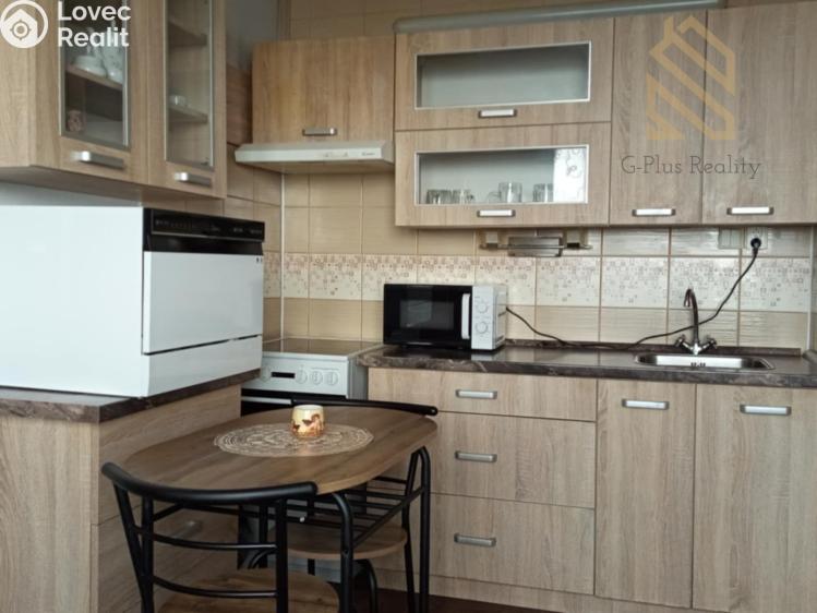 Rent apartment 1+1 Krupka, Karla Čapka č. 2