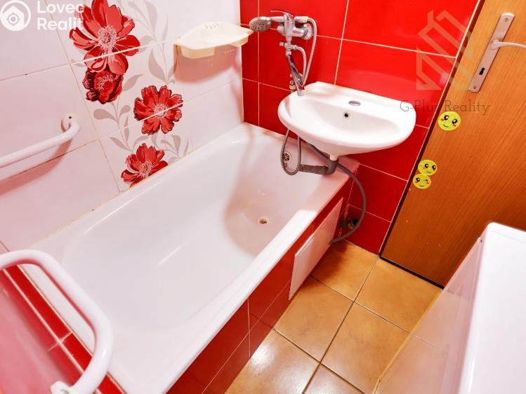 Rent apartment 1+1 Krupka, Karla Čapka č. 4