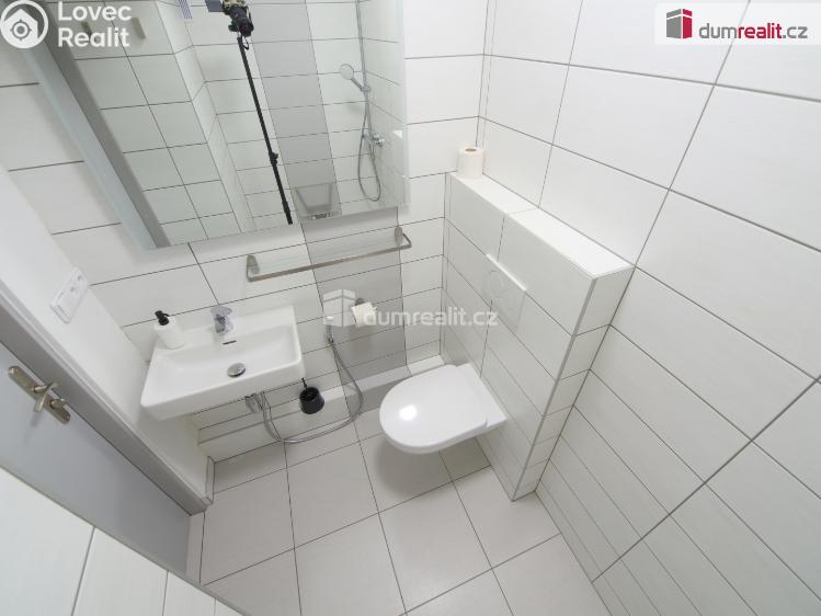 Pronájem bytu 1+1 Kladno, Amálská č. 10