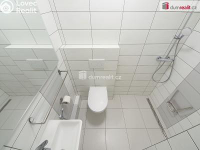 Pronájem bytu 1+1 Kladno, Amálská č. 3