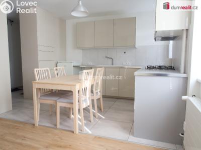 Pronájem bytu 1+1 Kladno, Amálská č. 4