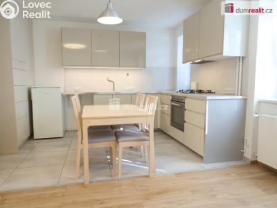 Pronájem bytu 1+1 Kladno, Amálská č. 5