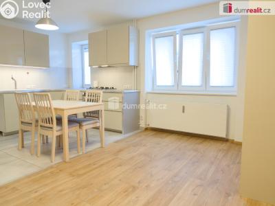 Pronájem bytu 1+1 Kladno, Amálská č. 6