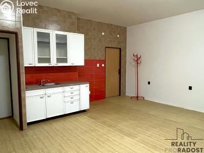 Rent apartment 1+KK Moravský Krumlov, Tiskárenská č. 1