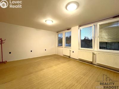 Rent apartment 1+KK Moravský Krumlov, Tiskárenská č. 2