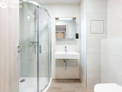 Rent apartment 2+KK Praha, Na Zlíchově č. 6