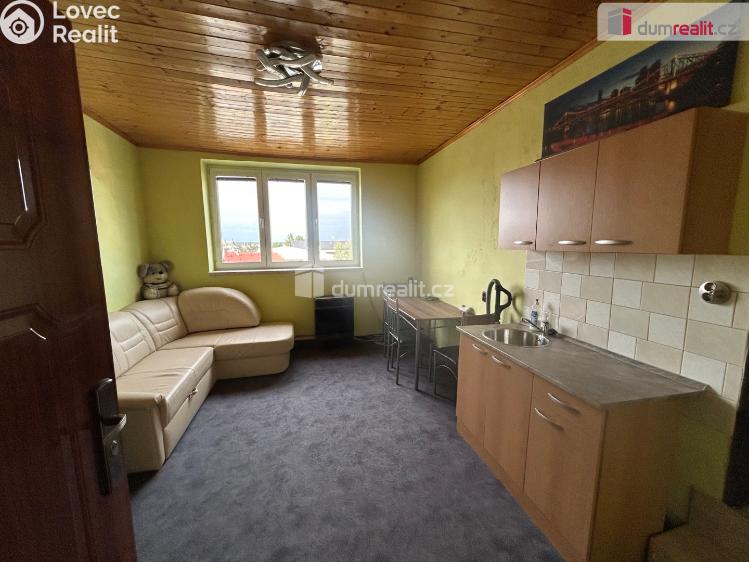 Pronájem bytu 1+KK Cerhenice, Na palouku č. 2