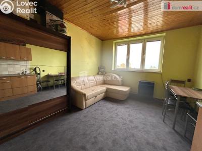 Pronájem bytu 1+KK Cerhenice, Na palouku č. 3