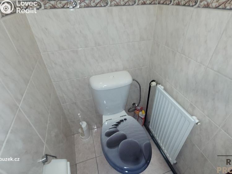 Pronájem rodinného domu Komárov č. 10