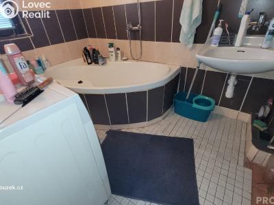 Rent family house Bělkovice-Lašťany č. 4