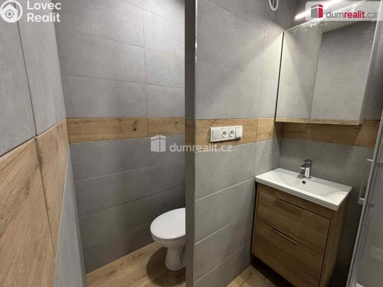 Оренда квартири 1+KK Otrokovice, Školní č. 12