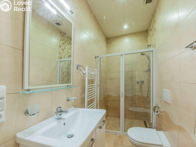 Sale apartment 3+1 Praha, Mezibranská 577/19 č. 20