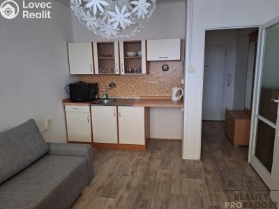 Rent apartment 1+KK Děčín, Kamenická č. 1