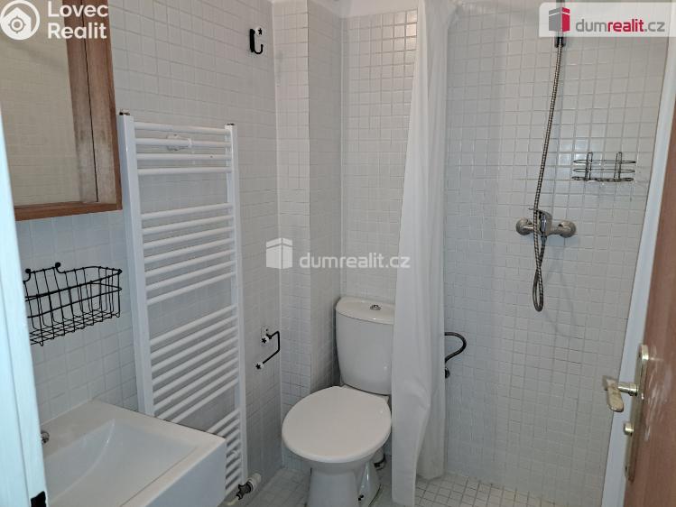 Pronájem bytu 1+1 Kunčice pod Ondřejníkem č. 6