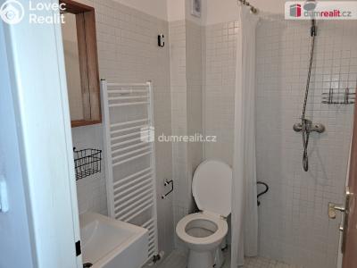 Rent apartment 1+1 Kunčice pod Ondřejníkem č. 5