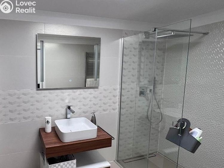 Pronájem rodinného domu Velké Pavlovice, Pod Břehy č. 3