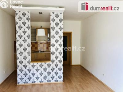 Rent apartment 1+KK Mariánské Lázně, Masarykova č. 4