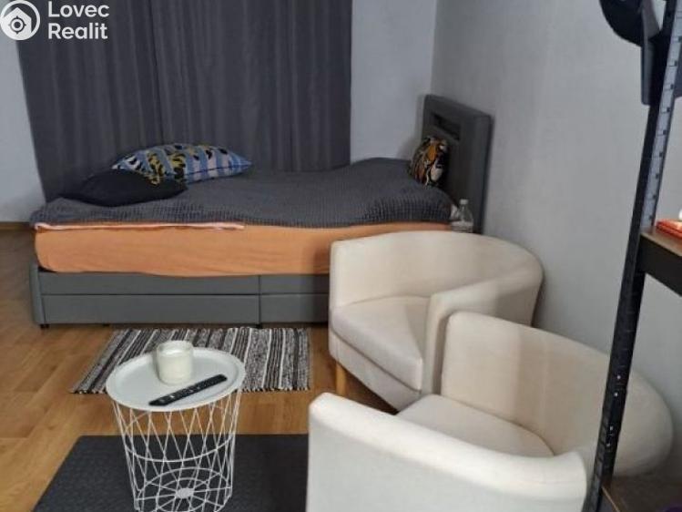 Pronájem bytu 1+KK Česká Třebová, Trávník č. 3