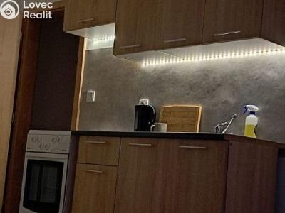 Rent apartment 1+KK Česká Třebová, Trávník č. 1