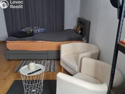 Rent apartment 1+KK Česká Třebová, Trávník č. 3