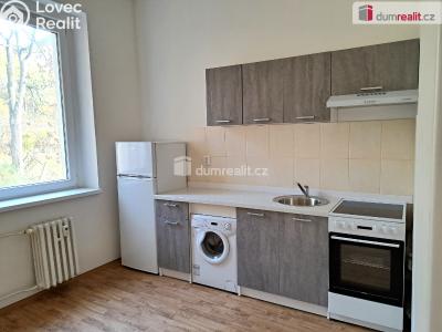 Rent apartment 1+KK Ústí nad Labem, Masarykova č. 3
