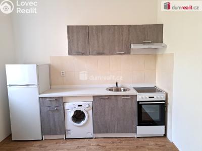 Rent apartment 1+KK Ústí nad Labem, Masarykova č. 5