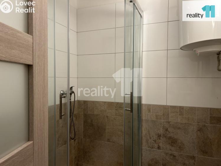 Pronájem bytu 3+KK Praha 6, Drnovská č. 34